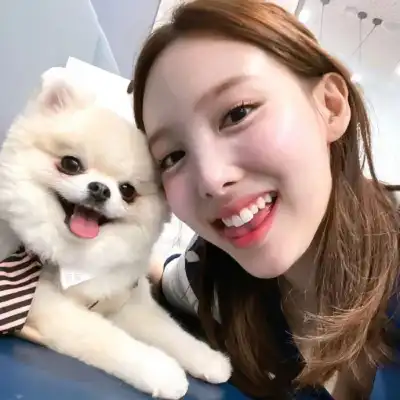 宋子涵